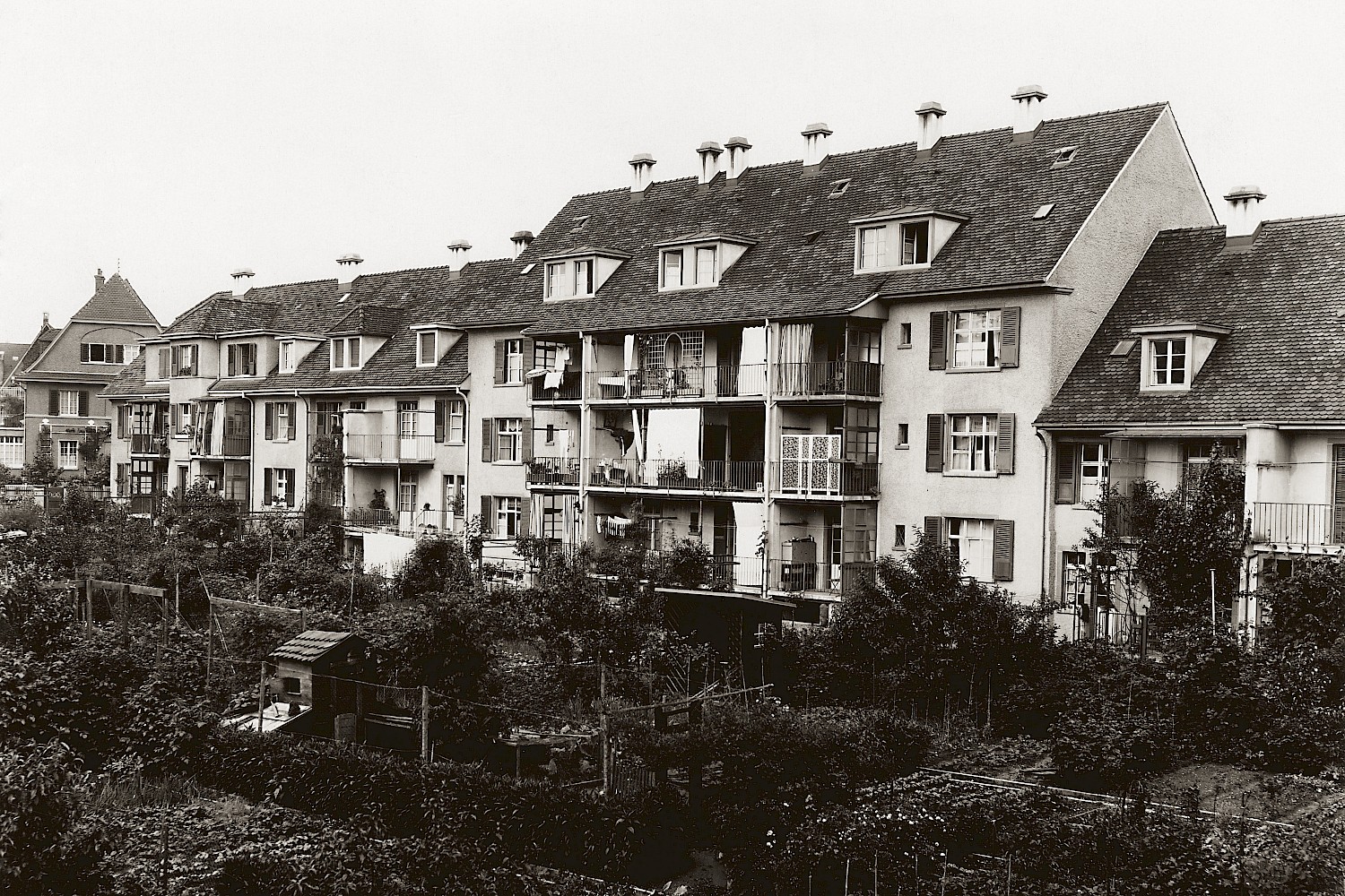 Pflanzareal und Hühnerstall: die Gartenseite der Siedlung Schützenmatte in der Zwischenkriegszeit.